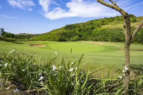 Golf course and green landscape at Zimbali Lakes